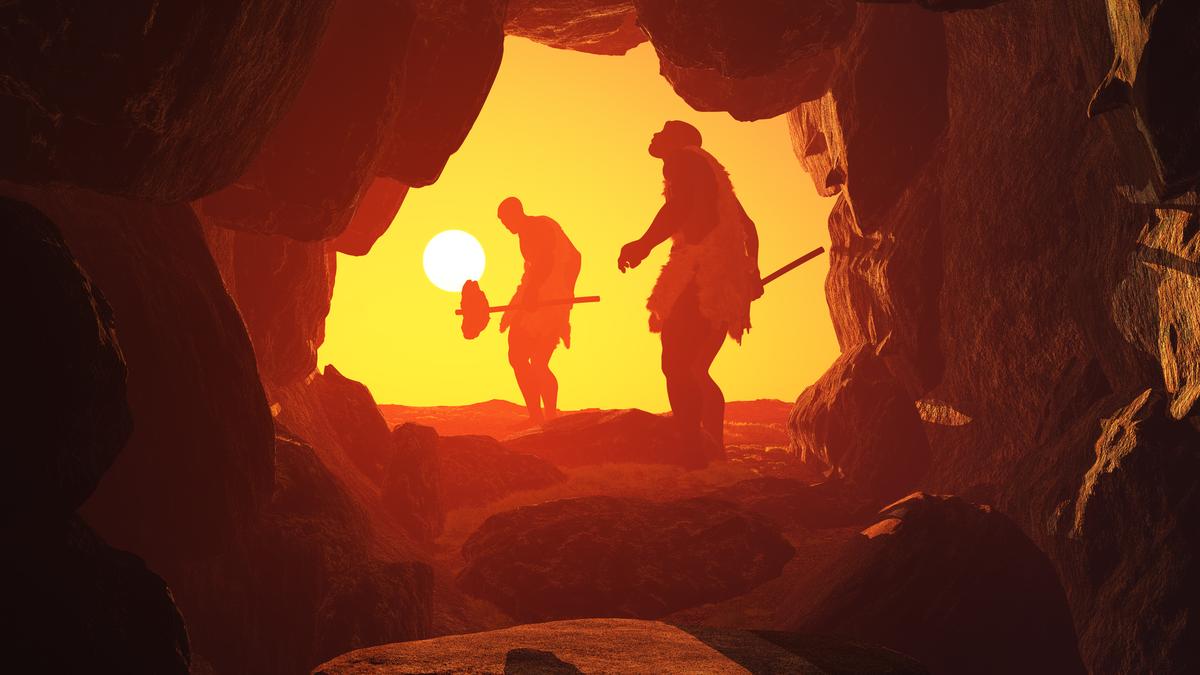 Ancient wooden spears may have been wielded by Neanderthals: study