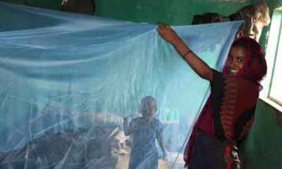 Antimalarial agents sidestep insecticide resistance by fighting parasite