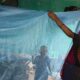 Antimalarial agents sidestep insecticide resistance by fighting parasite