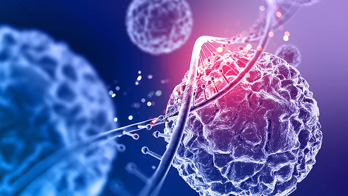 CAR-T therapy can be safely manufactured at hospital, finds ICMR-funded trial led by CMC Vellore