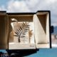 Cannes 2025 LIVE: Who will win the Palme d’Or at this year’s award ceremony?