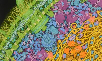 Climate change is disrupting the human gut in a new path to illness