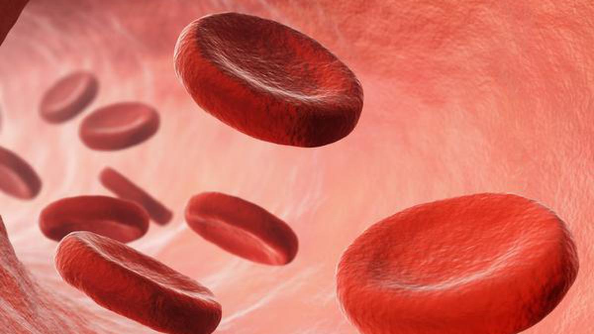Does neurodegeneration start when blood vessels are damaged?