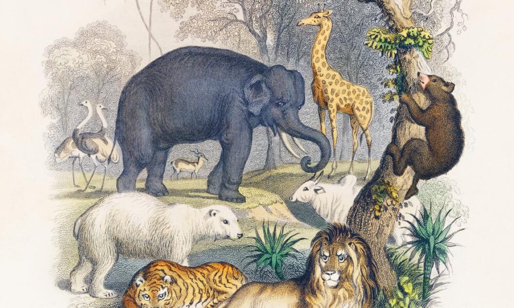 How are species named?