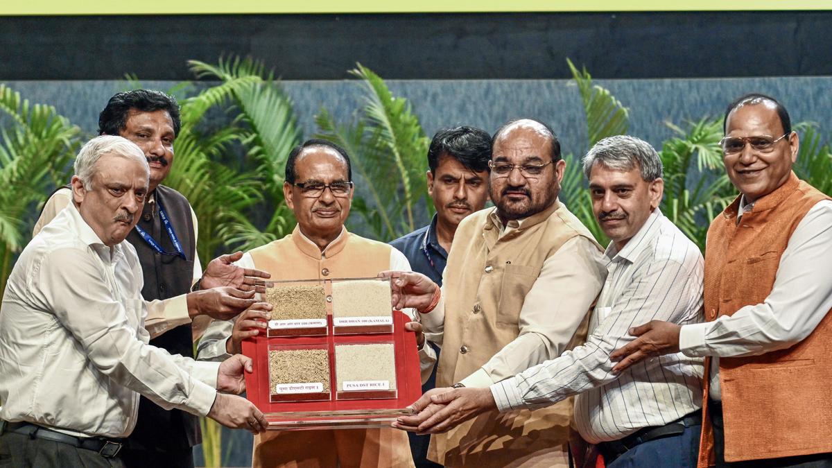 How did India develop genome edited rice? | Explained