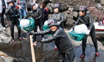Korea’s ‘amazing’ Haenyeo divers show unique genetic adaptations