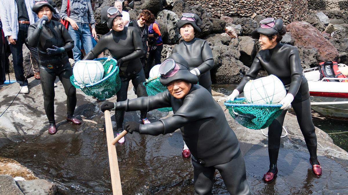 Korea’s ‘amazing’ Haenyeo divers show unique genetic adaptations