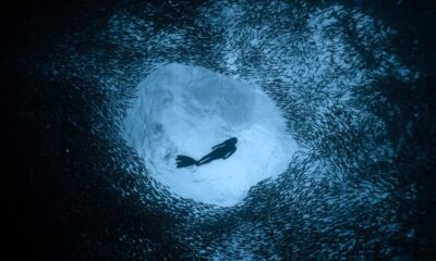 Meet Archana Sankaranarayanan, India’s deepest female freediver