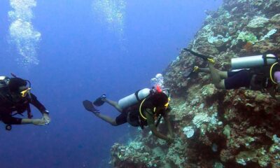 Science for All: 99.999% of earth’s deep seafloor yet to be observed