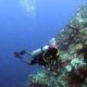 Science for All: 99.999% of earth’s deep seafloor yet to be observed