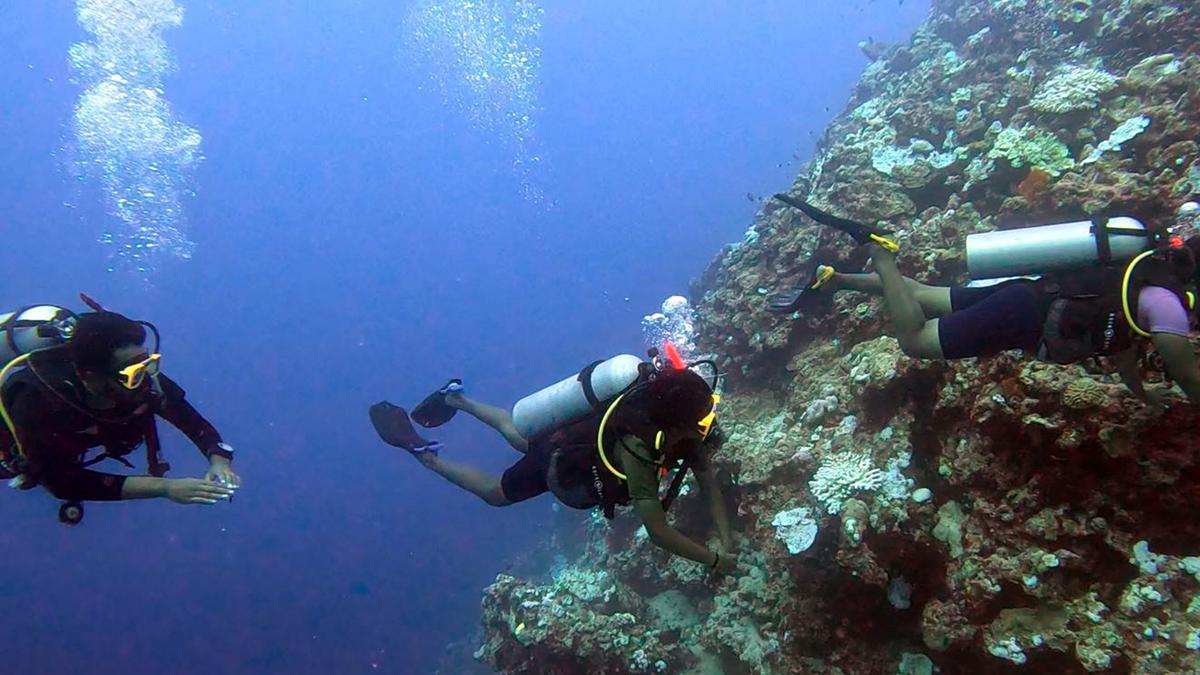 Science for All: 99.999% of earth’s deep seafloor yet to be observed