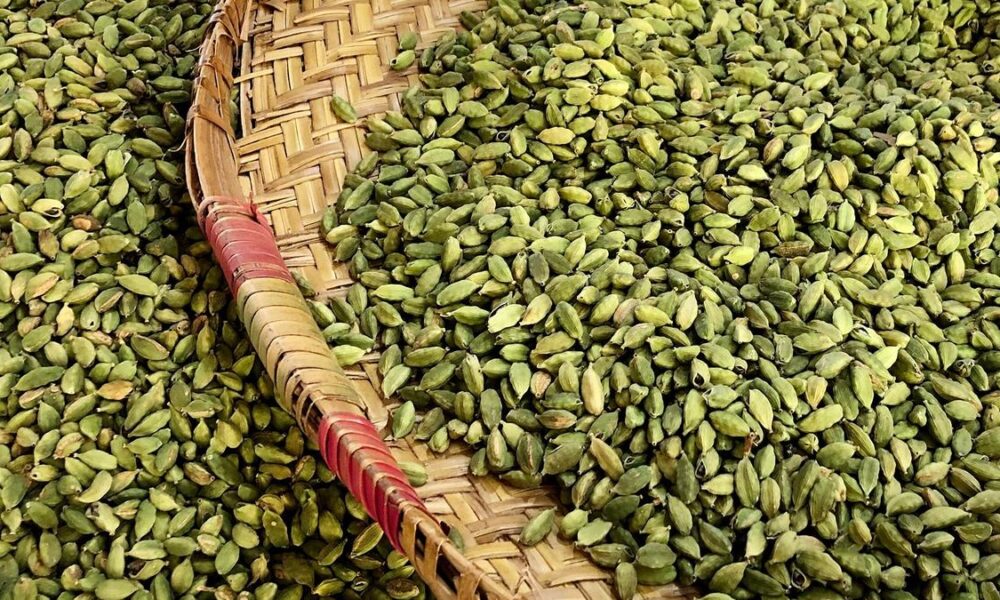 Spices Board to disburse ₹130 crore under SPICED Scheme