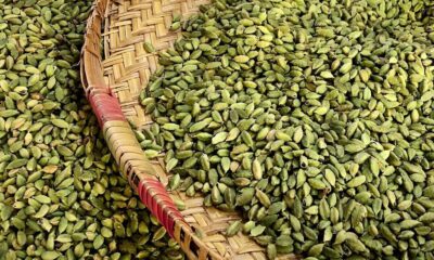 Spices Board to disburse ₹130 crore under SPICED Scheme