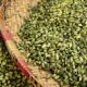 Spices Board to disburse ₹130 crore under SPICED Scheme