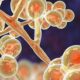 Surveillance, R&D innovation and communication are key levers for India to lead the fight against AMR