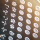 The curious case of the yeast modified to develop brain defects