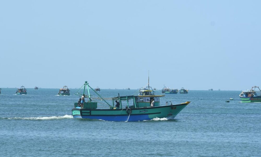 What is the total allowable catch?