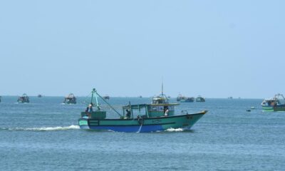 What is the total allowable catch?