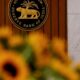 Where does the RBI’s surplus come from? | Explained