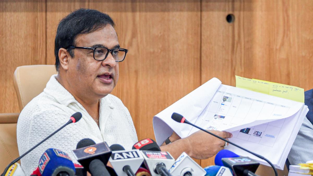 3,000-MW power project to come up in Dhubri or Goalpara: Himanta