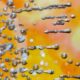 Air bubbles trapped in ice can store messages in cold places