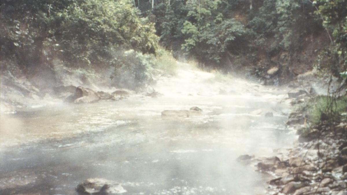 Bacteria found at Rajgir hot spring shows antibacterial activity