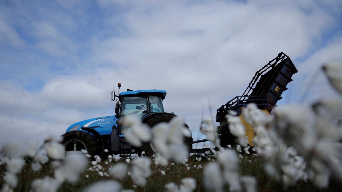 CCI buys 100 lakh bales cotton at minimum support price