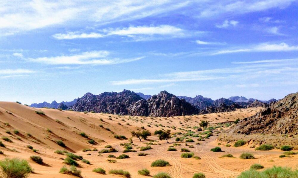 Humid phases once turned Arabian desert into a lush paradise: study
