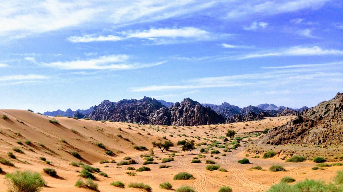Humid phases once turned Arabian desert into a lush paradise: study