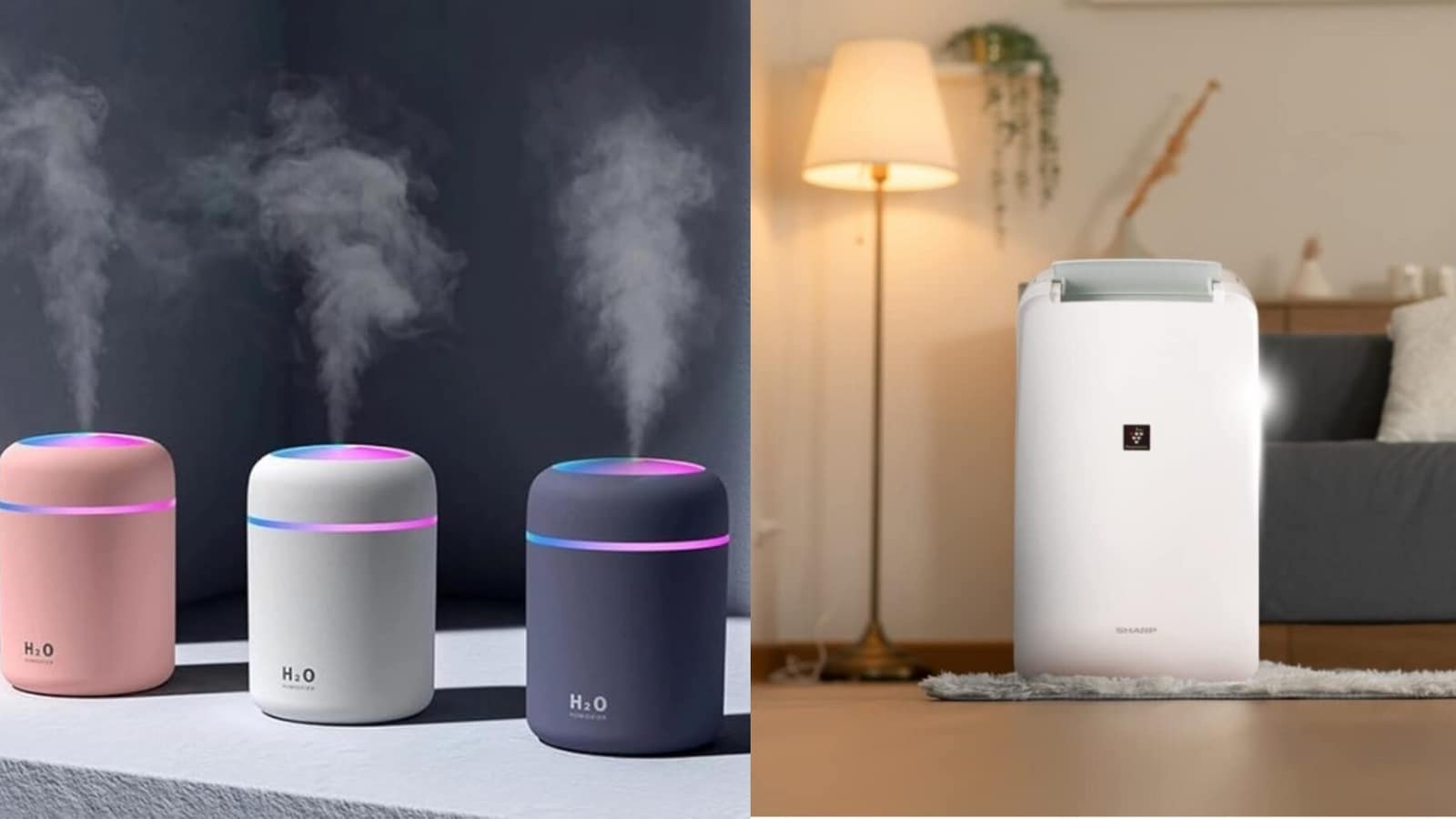 Humidifier vs Dehumidifier: Choosing the right one for comfortable summers based on features, requirements and weather | Mint