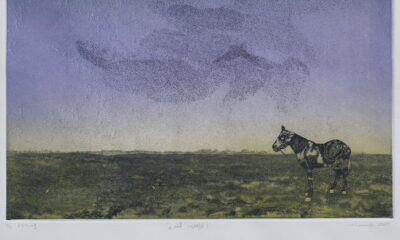 Hyderabad’s Srishti art gallery unveils 15th edition of Emerging Palettes