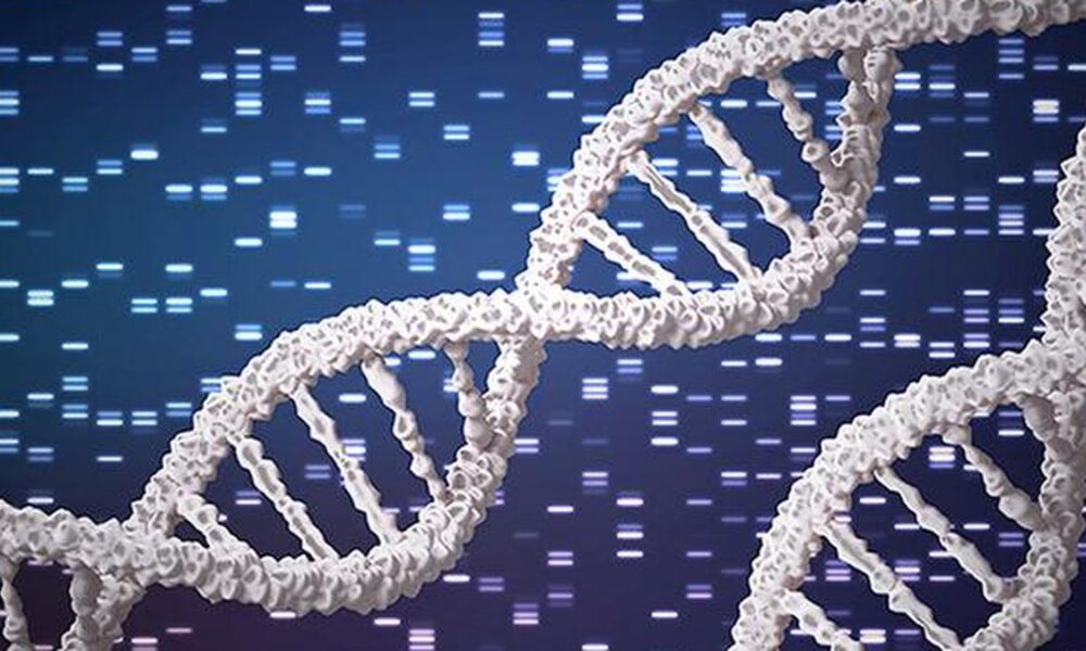 Large genetic map of Indians flags hidden disease risks