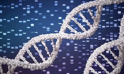 Large genetic map of Indians flags hidden disease risks