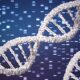 Large genetic map of Indians flags hidden disease risks