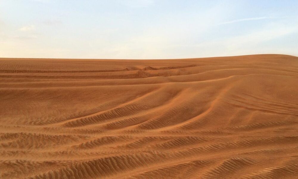 Monsoon-loving Indian expats chase rain in UAE desert