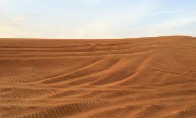 Monsoon-loving Indian expats chase rain in UAE desert