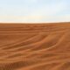 Monsoon-loving Indian expats chase rain in UAE desert