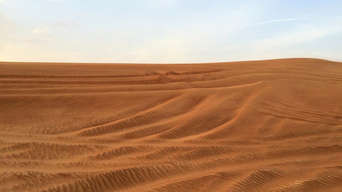 Monsoon-loving Indian expats chase rain in UAE desert