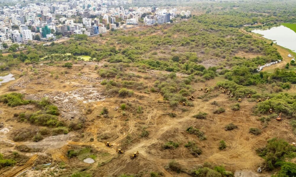 Push for ease of doing business in agroforestry: Centre issues model rules for tree felling on farmland | Mint