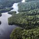 Rainforests: The lungs that keep earth breathing