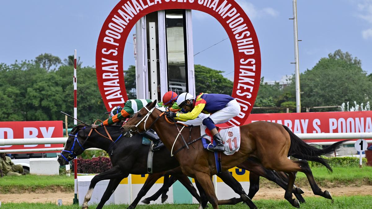 Sovereign King lives up to his billing in feature