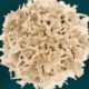Technique to make CAR T-cells in vivo could transform cancer care