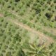 The greening of our chemical industries