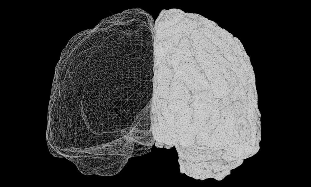 When you want to move, does your brain know before you’ve decided?