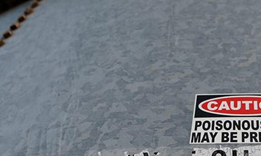 Why oil prices have declined and what are the potential implications? | Explained