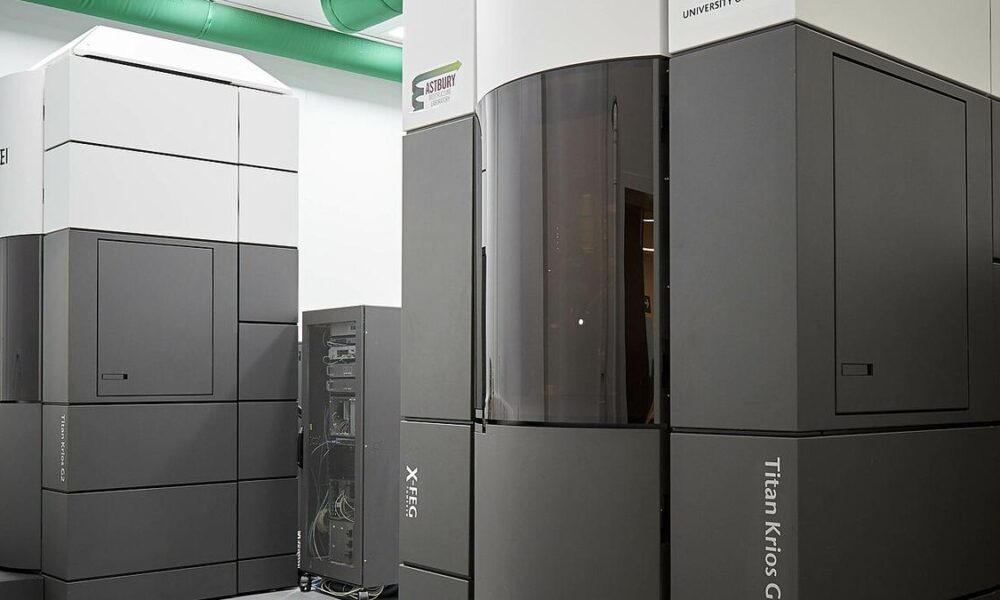 ‘Magical’ new technique brings very dilute samples into focus