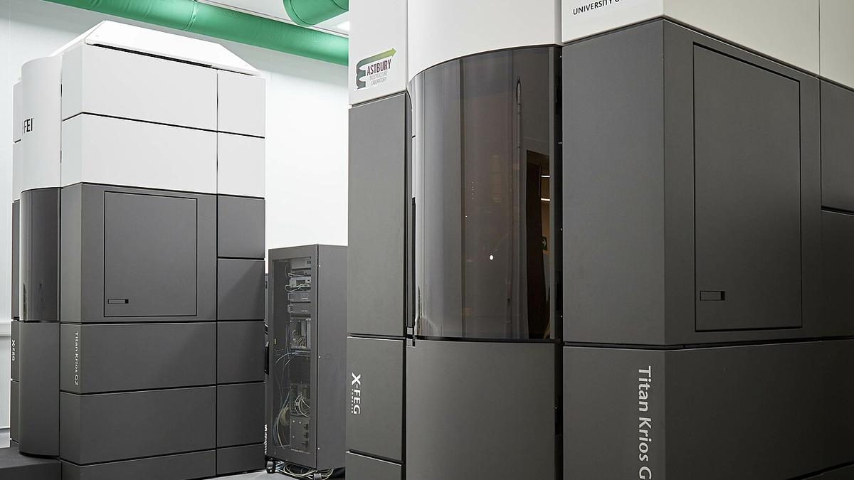 ‘Magical’ new technique brings very dilute samples into focus