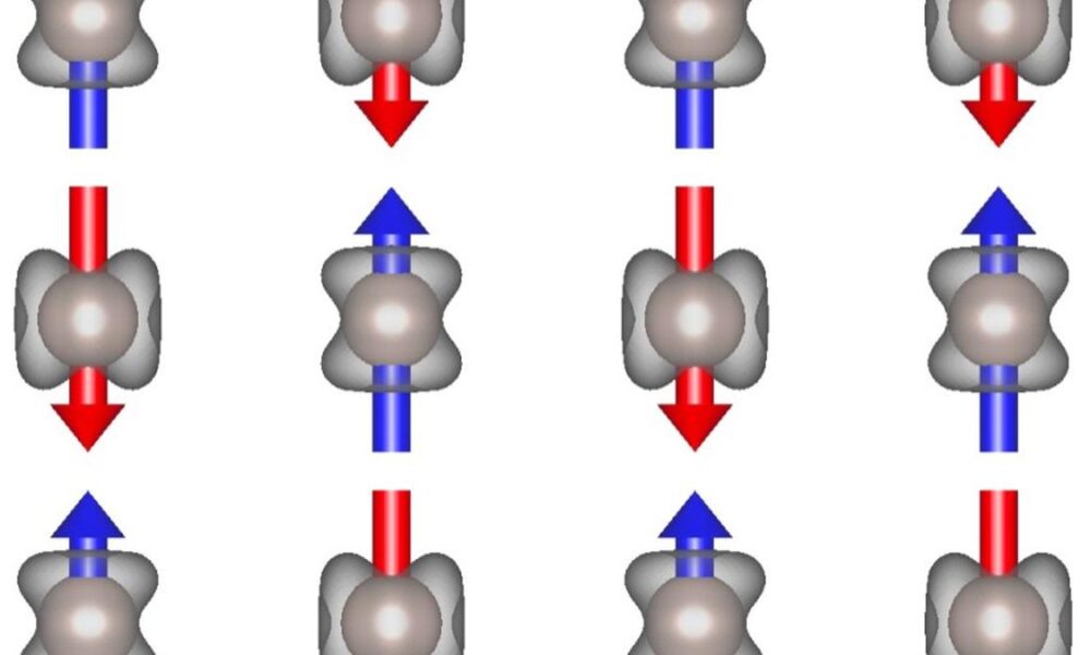 Altermagnet conducts with different charge carriers in different directions