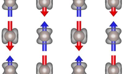 Altermagnet conducts with different charge carriers in different directions