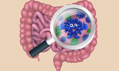 Can gut microbes help flush out forever chemicals in your body? Here is what experts have to say